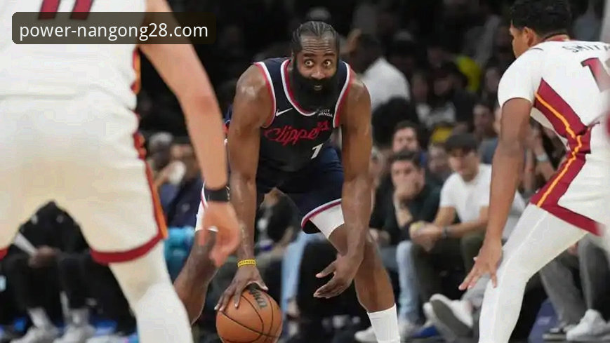 南宫28官网 vs. 其他平台：一个老用户的深度体验与选择指南